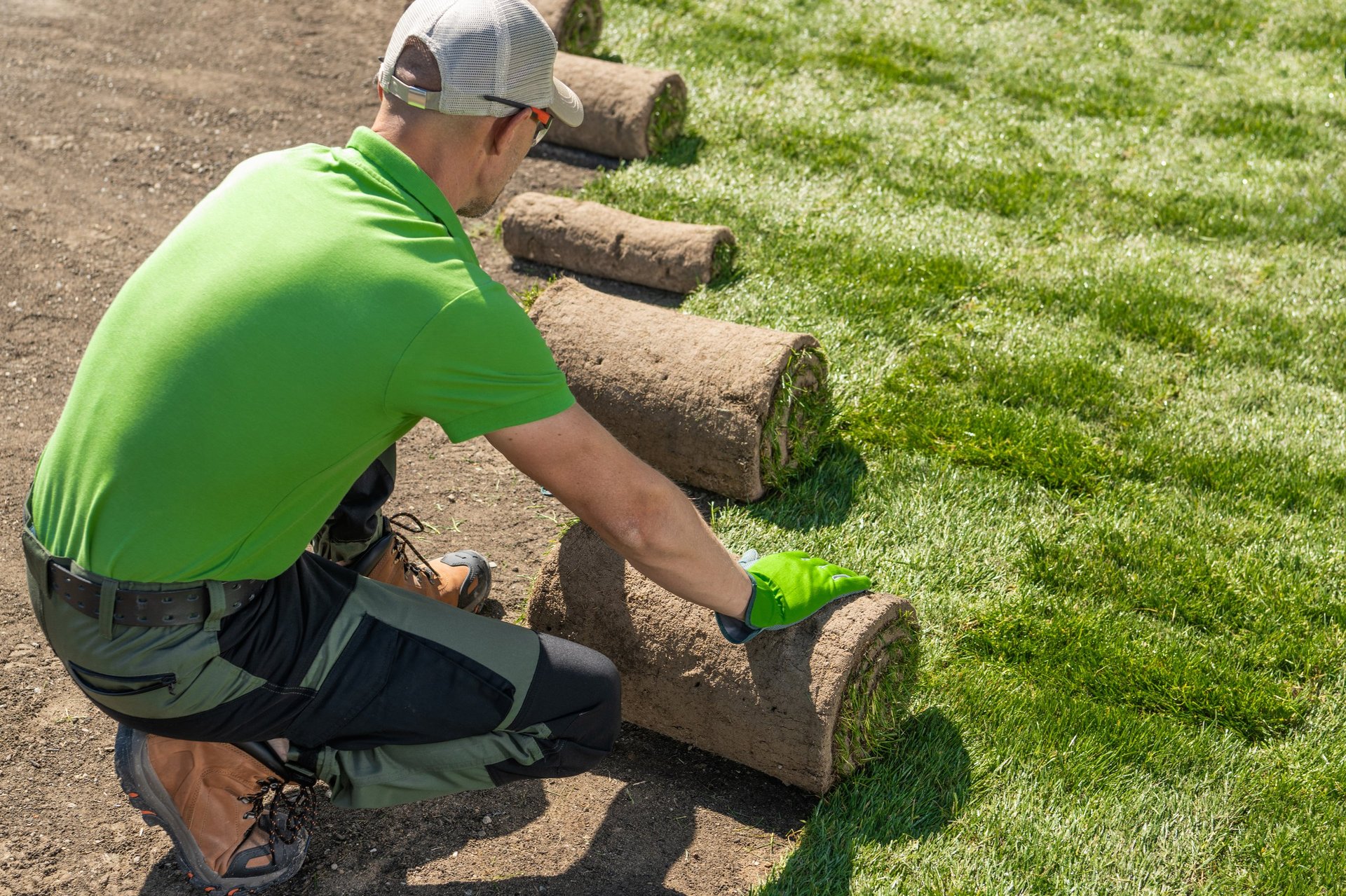 Professional gardener installing grass turfs in backyard