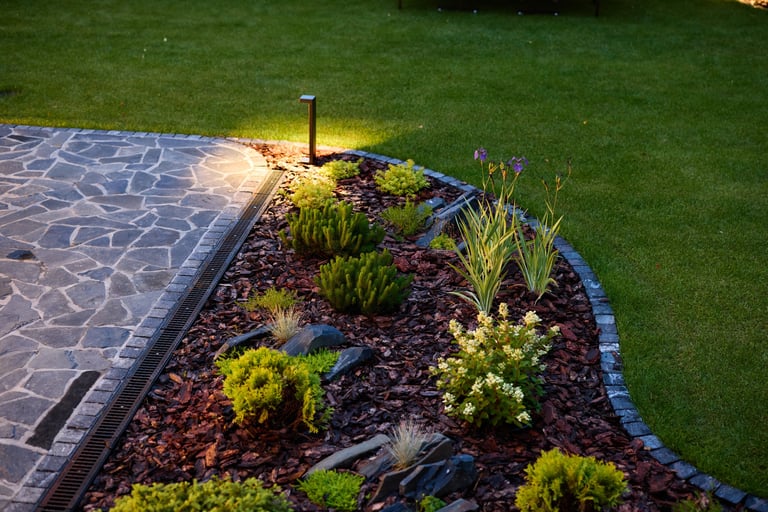 Beautifully designed garden with creative night lighting