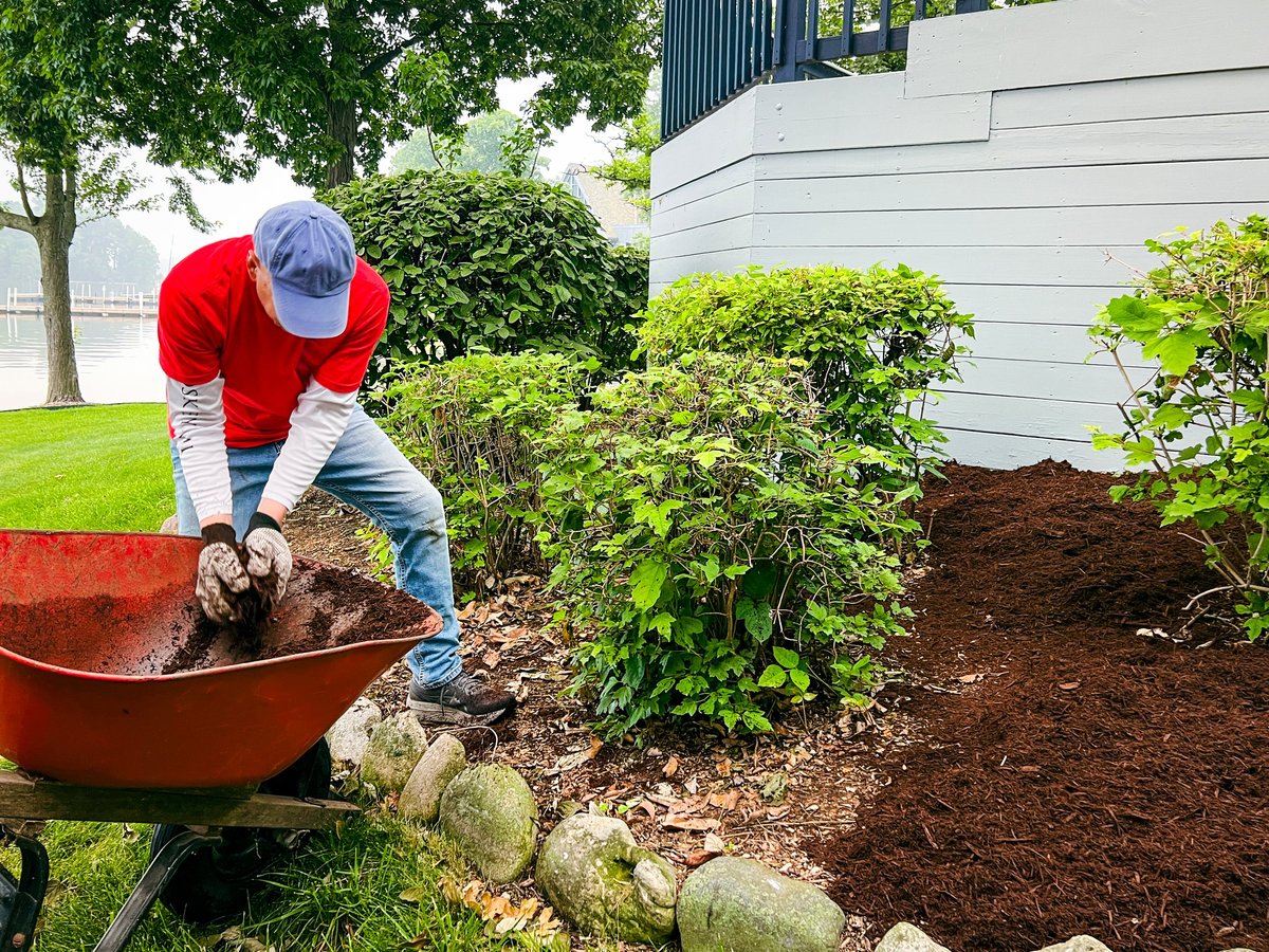 Professional gardener unloading mulch in beautifully landscaped yard